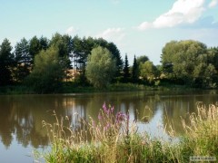 Kliknutím fotografii zvětšíte REVIR