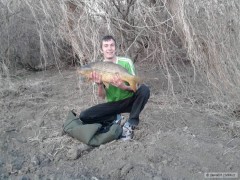 Kliknutím fotografii zvětšíte 19,3,2012 65cm 7kg kyjovka 2e