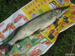 Kliknutím fotografii zvětšíte slapy 2011