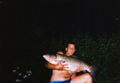 Kliknutím fotografii zvětšíte Amurek 98cm