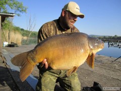 Kliknutím fotografii zvětšíte kapr 16,3kg