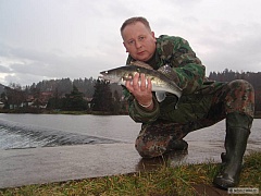 Kliknutím fotografii zvětšíte podzim2011