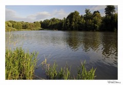 Kliknutím fotografii zvětšíte Blízko Olomouce_03