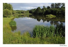 Kliknutím fotografii zvětšíte Blízko Olomouce_04