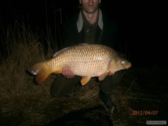 Kliknutím fotografii zvětšíte KAPOR 9,45KG