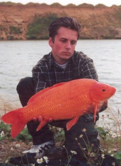 Koi II