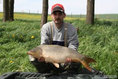 Kliknutím fotografii zvětšíte Kapr 79 cm a 7,80 kg