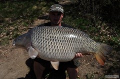 Kliknutím fotografii zvětšíte Kapr 90 cm 16 kg