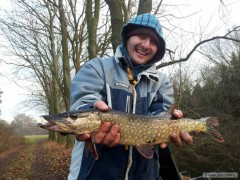 Stika 53cm