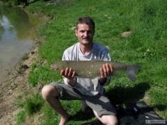 Kliknutím fotografii zvětšíte Amur 74cm