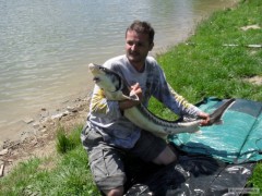 Kliknutím fotografii zvětšíte Jeseter 127cm