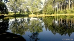 Rybn�k Brodsk�