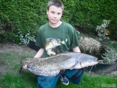 Kliknutím fotografii zvětšíte Sumec 120cm , 12kg