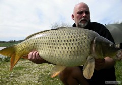 Kliknutím fotografii zvětšíte BRLOH 2012 KARP 81CM