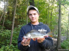 29cm