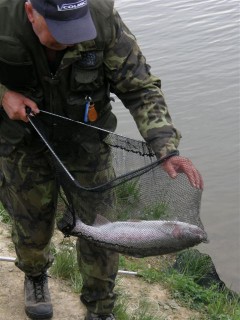 Kliknutím fotografii zvětšíte Hends Cup 2007