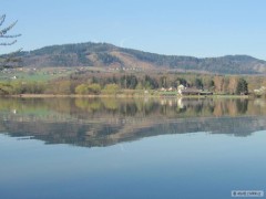 Kliknutím fotografii zvětšíte olesna 2012