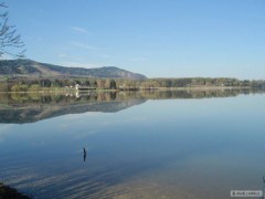 Kliknutím fotografii zvětšíte olesna 2012