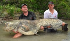 Monstrum 241 cm a 100 kg