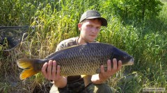 Kliknutím fotografii zvětšíte labský krasavec