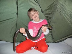 Kliknutím fotografii zvětšíte 89 cm