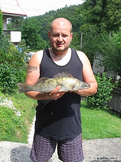 Kliknutím fotografii zvětšíte První Candát