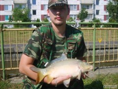 Kliknutím fotografii zvětšíte kapor 50cm