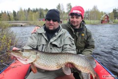 Kliknutím fotografii zvětšíte Švédsko 2012