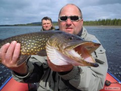 Kliknutím fotografii zvětšíte Švédsko 2012