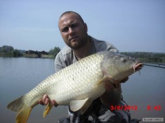 Kliknutím fotografii zvětšíte 82cm 8kg