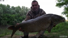 sazan 11,55kg