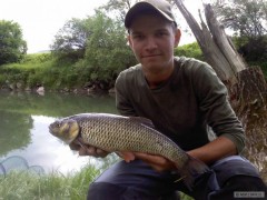 Kolegov Jalec 54cm