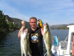 Kliknutím fotografii zvětšíte Ebro 2012