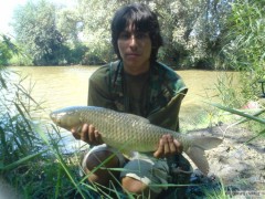 amur 63 cm