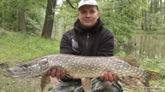 Kliknutím fotografii zvětšíte štika 90cm