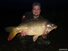 Kliknutím fotografii zvětšíte Kapr 78cm,9kg halibutka 20mm