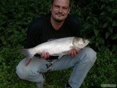 Kliknutím fotografii zvětšíte Tolstolobik - 62cm - 3,0 Kg