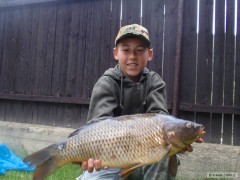 Kliknutím fotografii zvětšíte Kapr 62cm 5kg