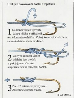 Kliknutím fotografii zvětšíte
