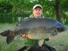 Kliknutím fotografii zvětšíte Dyje 2012