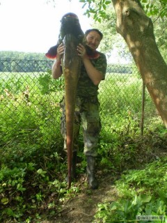 sumec 182cm,35kg