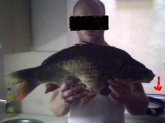 Kliknutím fotografii zvětšíte 63CM