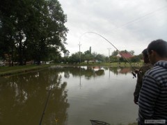 Kliknutím fotografii zvětšíte