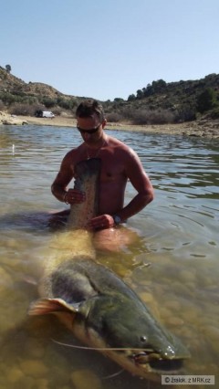 Kliknutím fotografii zvětšíte Ebro 187cm-47kg