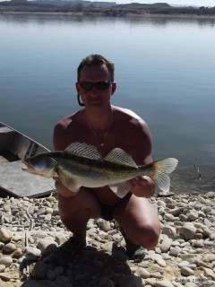 Ebro 70cm