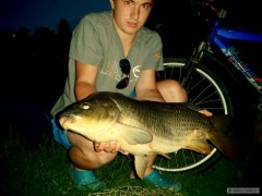 Dal�� Kapr