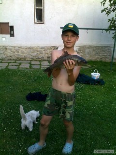 Kapřík 45cm