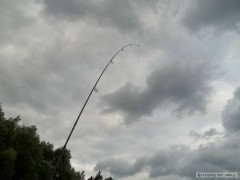 Kliknutím fotografii zvětšíte 11