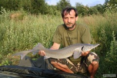 Kliknutím fotografii zvětšíte jeseter 92 cm