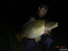 Kliknutím fotografii zvětšíte Kapr 80cm 10kg